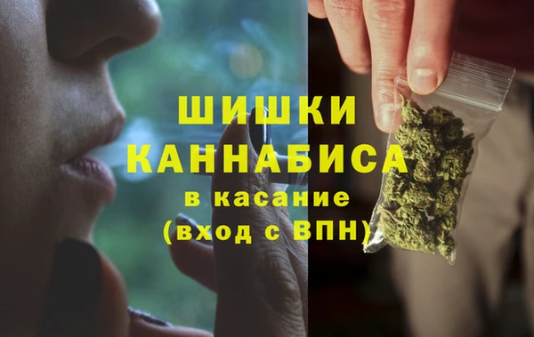 стаф Балахна