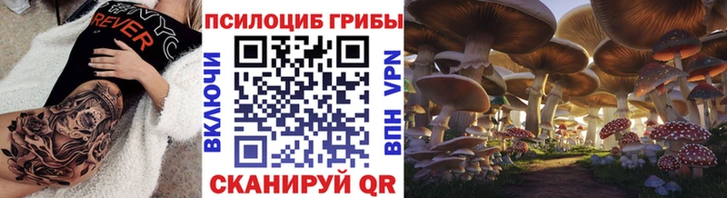 Купить  Вятские Поляны  Галлюциногенные грибы Psilocybe 