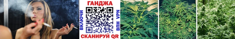 Купить  Вятские Поляны  Канабис ГИДРОПОН 